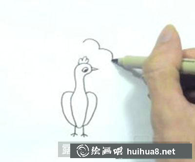 兒童畫教程：教大家怎么畫孔雀