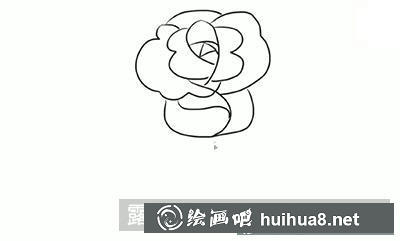 簡(jiǎn)筆畫(huà)教程：教大家繪制玫瑰花