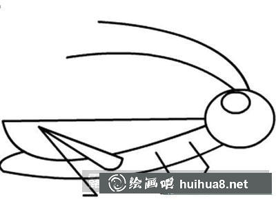 兒童畫教程：教大家畫螞蚱