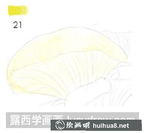 怎么畫平菇