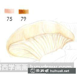 怎么畫平菇
