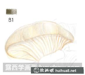 怎么畫平菇
