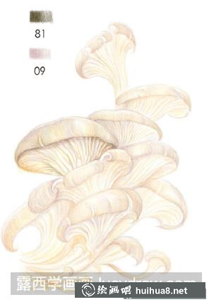 怎么畫平菇