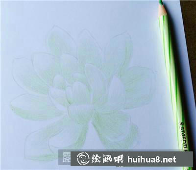 植物彩鉛畫