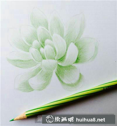 植物彩鉛畫
