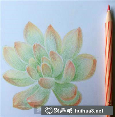 植物彩鉛畫
