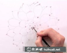 水彩繪多肉植物繪教程