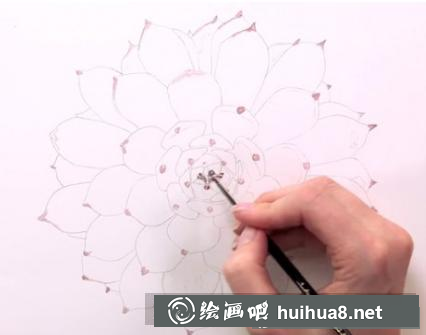水彩畫多肉