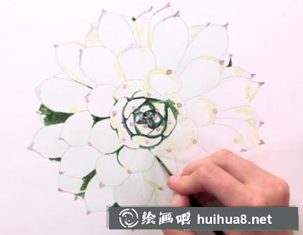 水彩畫多肉