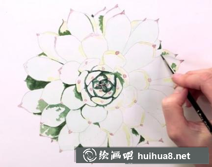 水彩畫多肉