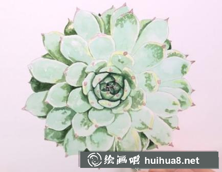 水彩畫多肉