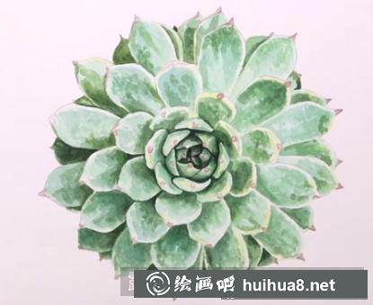 水彩畫多肉