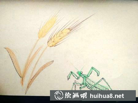 兒童畫教程