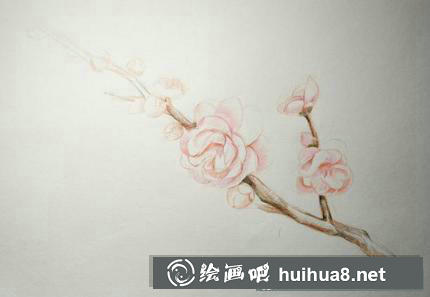 梅花的畫法