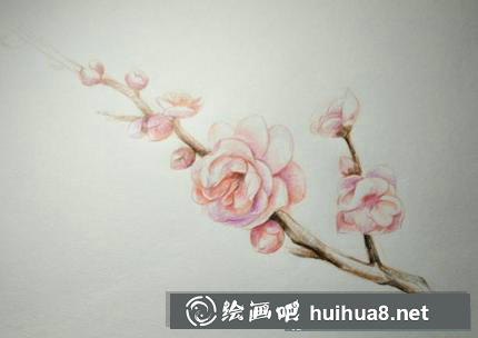 梅花的畫法
