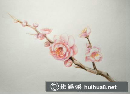 梅花的畫法