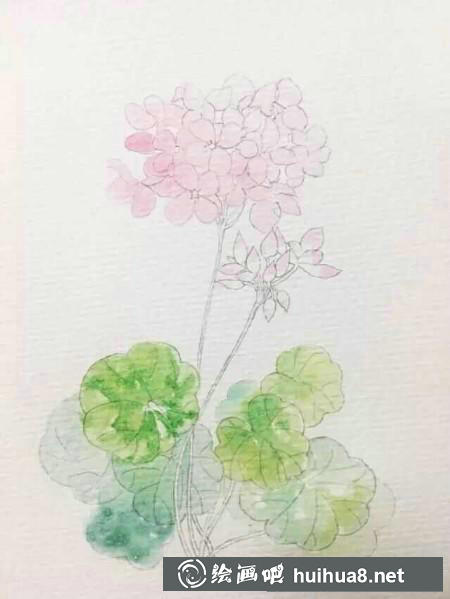 水彩畫教程