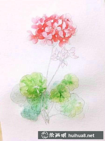 水彩畫教程