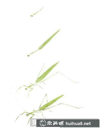 螳螂