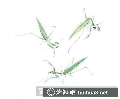 螳螂