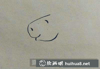 兒童畫教程：教大家畫小羊