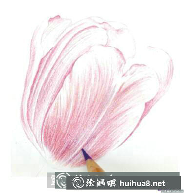 花卉彩鉛