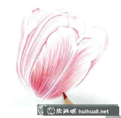 花卉彩鉛