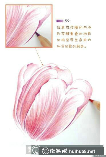 花卉彩鉛