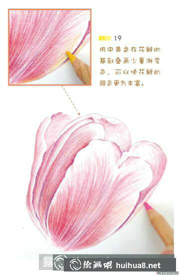 花卉彩鉛