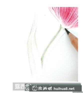 花卉彩鉛