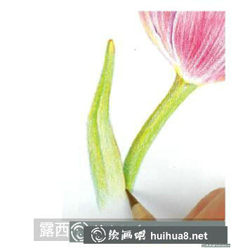 花卉彩鉛