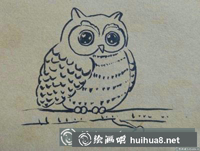 怎么畫(huà)兒童畫(huà)貓頭鷹教程