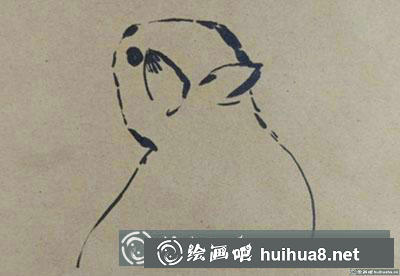 教你畫簡筆畫兔子 教你畫簡筆畫兔子