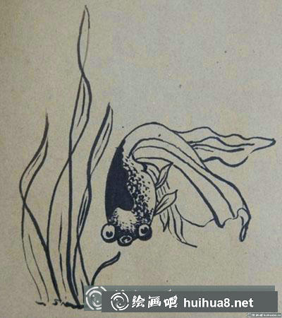 簡筆畫教程：金魚怎么畫