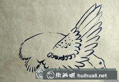 簡(jiǎn)筆畫(huà)教程:教大家畫(huà)大雁