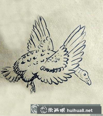 簡(jiǎn)筆畫(huà)教程:教大家畫(huà)大雁