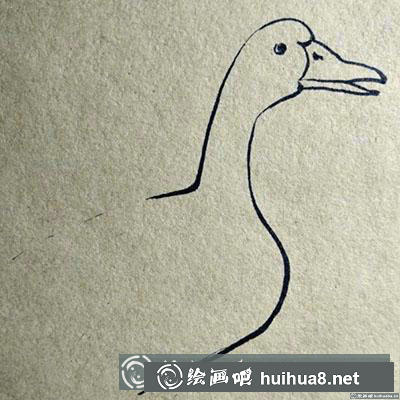 簡筆畫教程：怎么畫一只安靜的大雁
