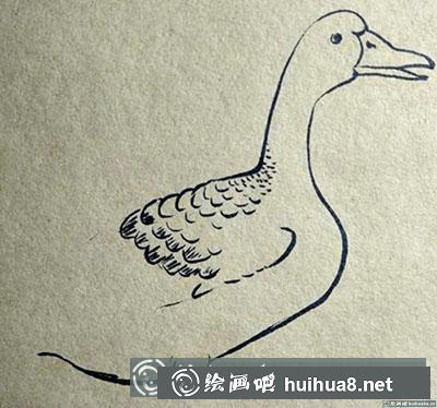 簡筆畫教程：怎么畫一只安靜的大雁
