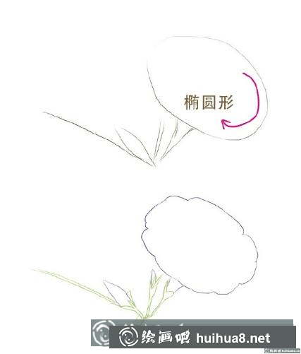花卉彩鉛