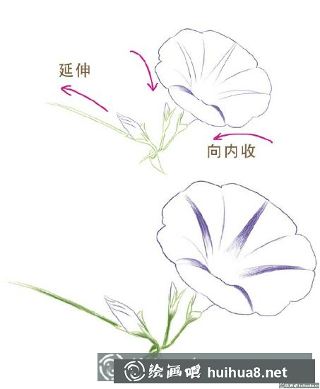 花卉彩鉛