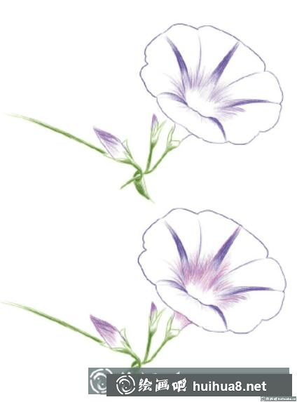 花卉彩鉛