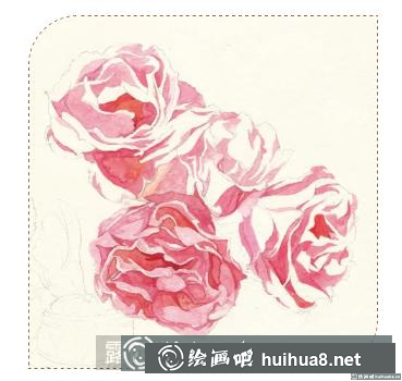 水彩畫玫瑰花