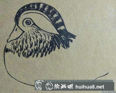 簡筆畫教程：教你畫鴛鴦