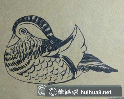 簡筆畫教程：教你畫鴛鴦