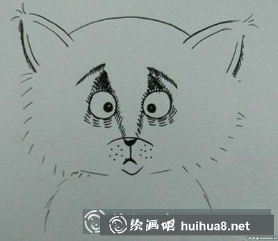 兒童畫教程：怎么繪制一只小狐貍
