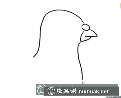 和平鴿頭部繪制