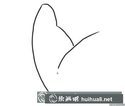 簡筆畫教程：怎么繪制一只蝴蝶