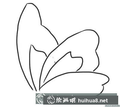 簡筆畫教程：怎么繪制一只蝴蝶
