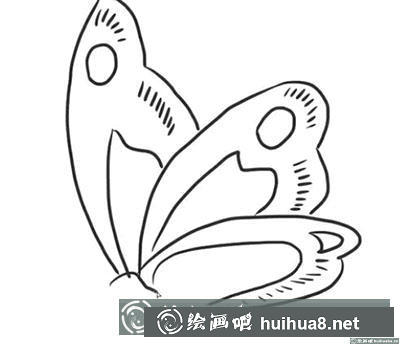 簡筆畫教程：怎么繪制一只蝴蝶