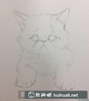 水彩畫小奶貓